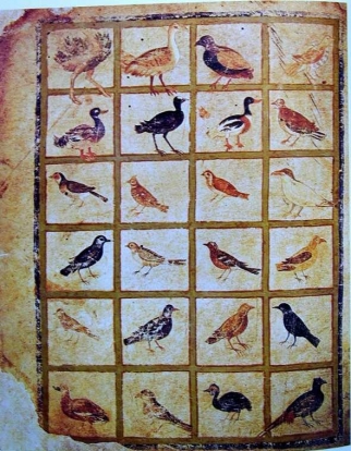 illustration