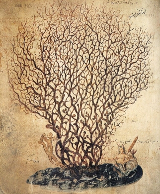 illustration