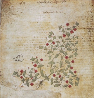 illustration